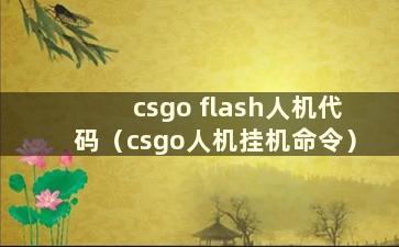 csgo flash人机代码（csgo人机挂机命令）